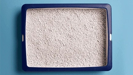 Klumpende oder nicht klumpende Katzenstreu: Ein Überblick