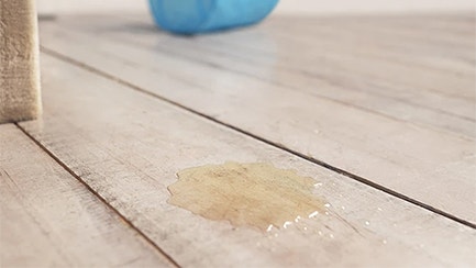 Reviermarkierung oder Vermeidung des Katzenklos? Wie Du den Unterschied erkennst