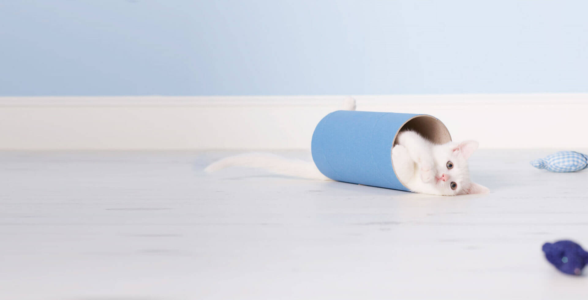 Kätzchen auf dem Boden liegend in einem zylindrischen Tunnel